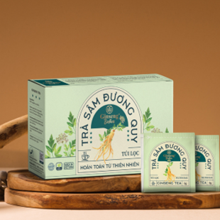 THIẾT KẾ BAO BÌ TRÀ SÂM ĐƯƠNG QUY GINSENG BROTHERS